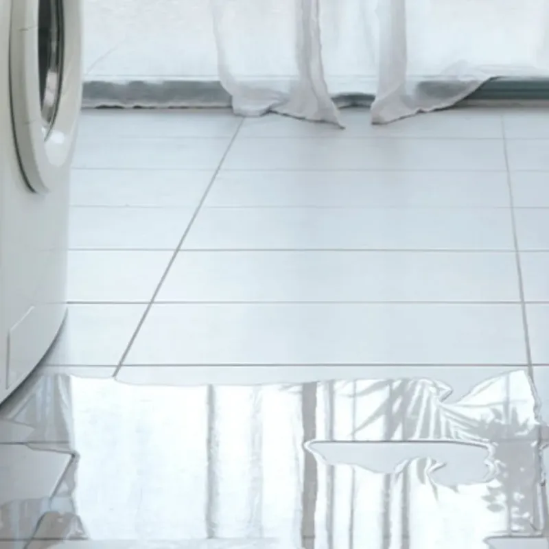 Appliance Leak Cleanup in Silver Lakes, CA