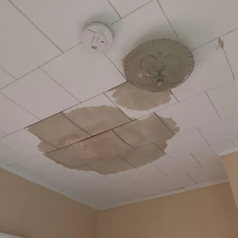 Ceiling Water Damage Repair in Silver Lakes, CA