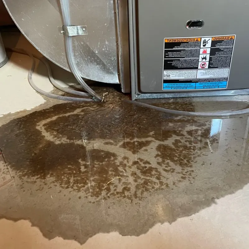 Pipe Burst and Leak Restoration in Silver Lakes, CA